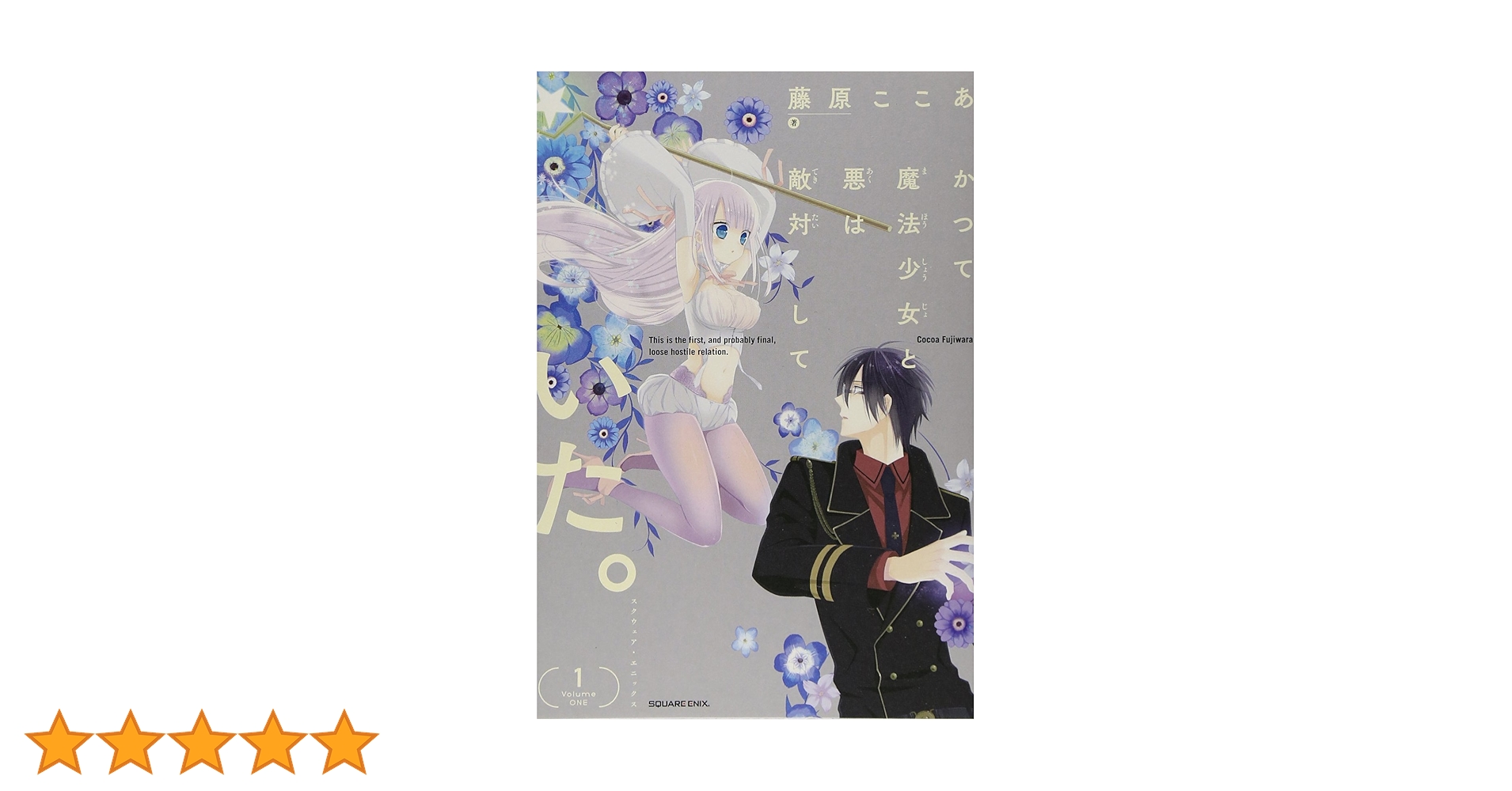藤原ここあ かつて魔法少女と悪は敵対していた。 クリアファイル まとめ売り 5点 かつて魔法少女と悪は敵対していた。(1) (ガンガンコミックス